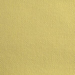 Premium Cotton Mustard